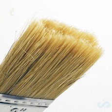 여름다미추천 페인트도구 평붓 2인치