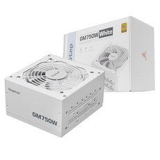 Segotep GM750W 80PLUS GOLD 풀모듈러 ATX 3.1 (PCIE5.1) 화이트, 1개