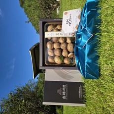 [100% 산지직송] 프리미엄 송화버섯 가정용 명절선물세트 정말 맛있어요, 1개, 1kg(프리미엄 선물용_특품이상)