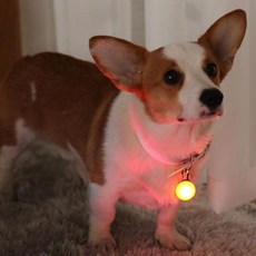 OC1065 반려동물 LED펜던트 야간산책 라이트목걸이1P eve+728XK, 노랑(1065-2)