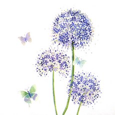 알리움 냅킨 K-07-036, 1개, 5개