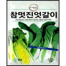 동오시드 참멋진엇갈이 씨앗 쌈 배추 김치용 배추 종자 재배용 20g, 1개