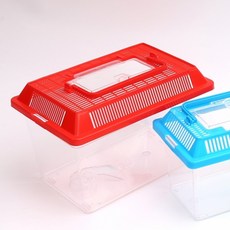 투명 곤충 관찰 채집통 대 달팽이집 곤충채집통 곤충관찰