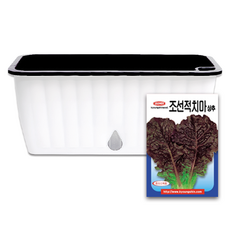라운드오프 간단한 저면관수 텃밭화분 set, 텃밭화분+적상추