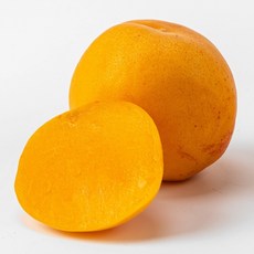 새콤달콤 노지 살구, 1박스, 1kg 중