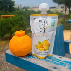 100% 무농약 감귤 천혜향 한라봉 주스 10개 묶음, 한라봉앤감귤, 120ml