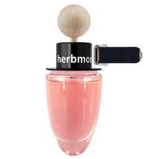 허브모아 우드미니 송풍구 차량용 디퓨저 11ml, 1개, 본품 로즈마리