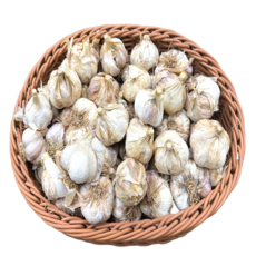 [Naturebasket] 남도종 마늘 한접(5kg) 김장용. 양념용, 1개, 한접(5kg) - 소