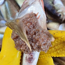 [초초특가] 알배기 도루묵 90%알배기 급냉, 2개, 500g 내외