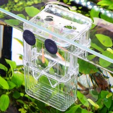 옥이드림 물고기 부화 통 어항 소형 열대어격리통 어항격리통 구피부화통