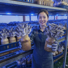 [20세트 특가]빌리푸드 농장에서 갓 수확해 보내는 프리미엄 느타리버섯, 1개, 2kg