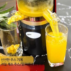 착즙기 녹즙기 찌꺼기 분리 주서 가정용 전자동 과일 및 야채 다기능 소형 튀김 저속, 이미지참조, 높은 레드 배율