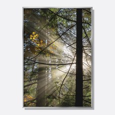 스웨리움 스칸디나비아 감성 포스터 인테리어 액자 숲 속의 한 줄기 햇살, A4 (210 x 297 mm), 포스터만 구입