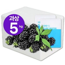 [높은당도/생과섭취] 2025년 최상급 과상오디 대용량 100% 국산, 1개, 5kg