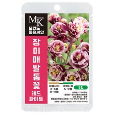모칸도 좋은씨앗 장미매발톱꽃 씨앗 레드화이트 5립 꽃씨 꽃씨앗, 1개