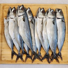 부산 자반고등어 중소12마리(2kg내외), 1개, 12미당 1.7kg - 2.3kg 내외