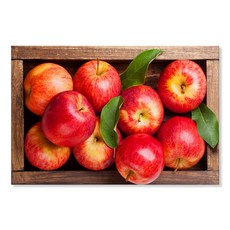 생기 부자되는 사과 그림 재물운 행운 캔버스 액자, 02빨간사과박스