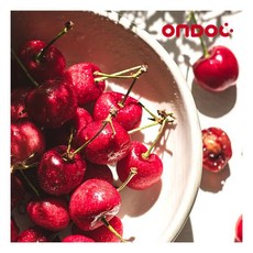 [온도씨]고당도 칠레산 체리 500g (10row)184529, [온도씨]고당도 칠레산 체리 500g (10row)18