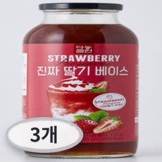다농원 진짜 딸기베이스, 950g, 3개, 1개입