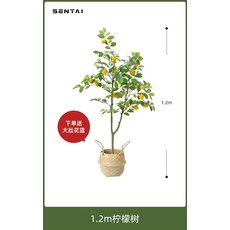 인테리어 조화 레몬나무 생화같은 인조화분, 1.2m 레몬나무 / 대통 화분