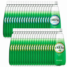 트레비 300ml 플레인 20pet + 라임 20pet, 40개