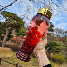 시원상큼 산수유 오미자 담금주 키트 (술 포함 X), 1개, 1L