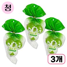 디담 거봉 청포도 젤리 180g, 3개