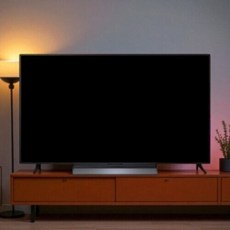 LG전자 4K UHD 올레드 evo TV, 120cm(48인치), OLED48C5KNA, 스탠드형, 방문설치