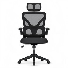 파라이프 허리에 좋은 책상 컴퓨터 의자 공부 학생 회의실 의자, 블랙