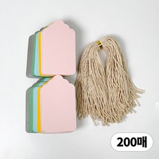 디어플레이스 파스텔 포장 종이 행택 라벨택 + 면끈, 200매, 10 혼합