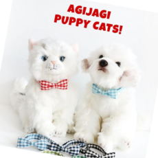 반려동물목걸이 자체제작 푸푸 체크리본 강아지 고양이 목걸이, 인디핑크