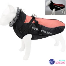 위즈아이 WI066DG 강아지 빅사이즈 하네스 패딩조끼, 1개, 오렌지