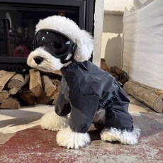 寵物雨衣 狗狗防水衝鋒衣 戶外防塵防曬, 寵物衣服隨機發,L背35左右建議8-10斤左右, 1個