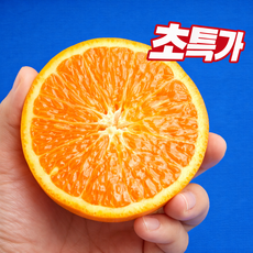 [한정판타임특가] 초고당도 프리미엄 13brix 블랙라벨오렌지, 1박스, 30과