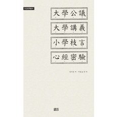 大學公議 大學講義 小學枝言 心經密驗, 丁若鏞 著/李光鎬 等譯, 思庵