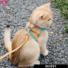 貓咪牽引繩可愛背心式胸背防掙脫幼貓魔術貼安全扣反光寵物遛貓繩, 藍粉色+扁繩,S（4斤內）, 1個