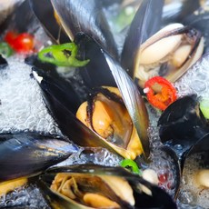 조업 산지직송 다듬이 햇 홍합, 1박스, 1kg