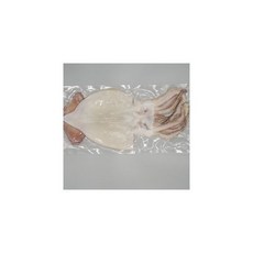 국산 손질 갑오징어 500g 냉동