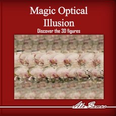 Magic Optical Illusion DiscOVER 오버 THE 더 3D figures Vol. 2: Use your EYE 아이s AND & see beautiful, Magic Optical Illusion, DiscOV