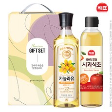 해표 카놀라유 사과식초500ml(2종), 1세트, 카놀라유500ml+사과식초500ml