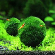 조경 수족관 생태 이끼볼 음성 제어 에어레이션 조류 욕조, 1개