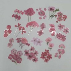 살림냥냥 압화 이미지 꽃 핑크 다이어리꾸미기