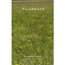 (영문도서) Filaments Paperback, W James Ehrlich, English, 9798218367282