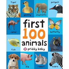 First 100 Animals, Priddy Books