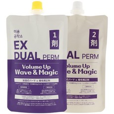 볼륨매직 C컬 S컬 멀티 열펌제 [미용공작소 EX 듀얼펌], 1개, 500ml