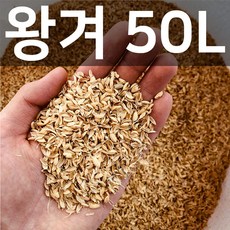 프리미엄 왕겨 50L (7kg 내외), 1개