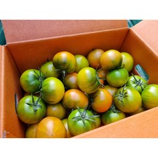 [타임특가] 산지직송 단짠단짠 고당도 대저토마토, 1박스, 2.5kg 강추(L)