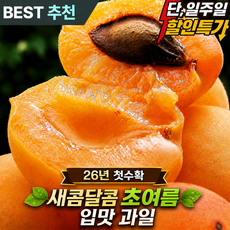 [100박스특가] 26년첫수확 산지직송 새콤달콤 살구, 1박스, 250g (혼합과)