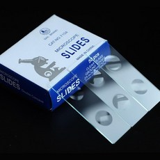 미생물관찰 2홀 슬라이드 글라스 50P 과학 수업 학습 실험 늘봄 방과후 준비물, 1개