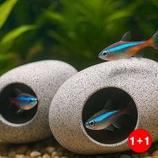 어항수족관 거실공간활용 깔끔한수납 강력한부착 수족관 일상생활편 정말최고임(1+1옵션 주문수량의 2배수량 배송), 1개